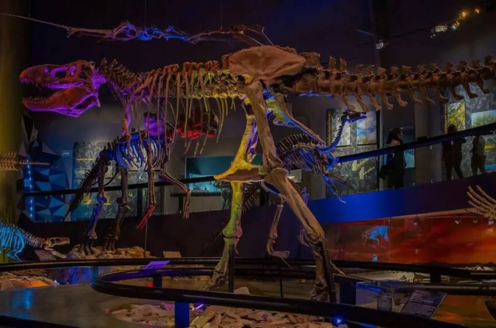 Descubre Era Sauria, la exposición con más de 40 dinosaurios en Toluca, a menos de una hora de CDMX. Te explicamos qué encontrarás, precios y cómo llegar en transporte público paso a paso. ¿Eres fan de los dinosaurios?