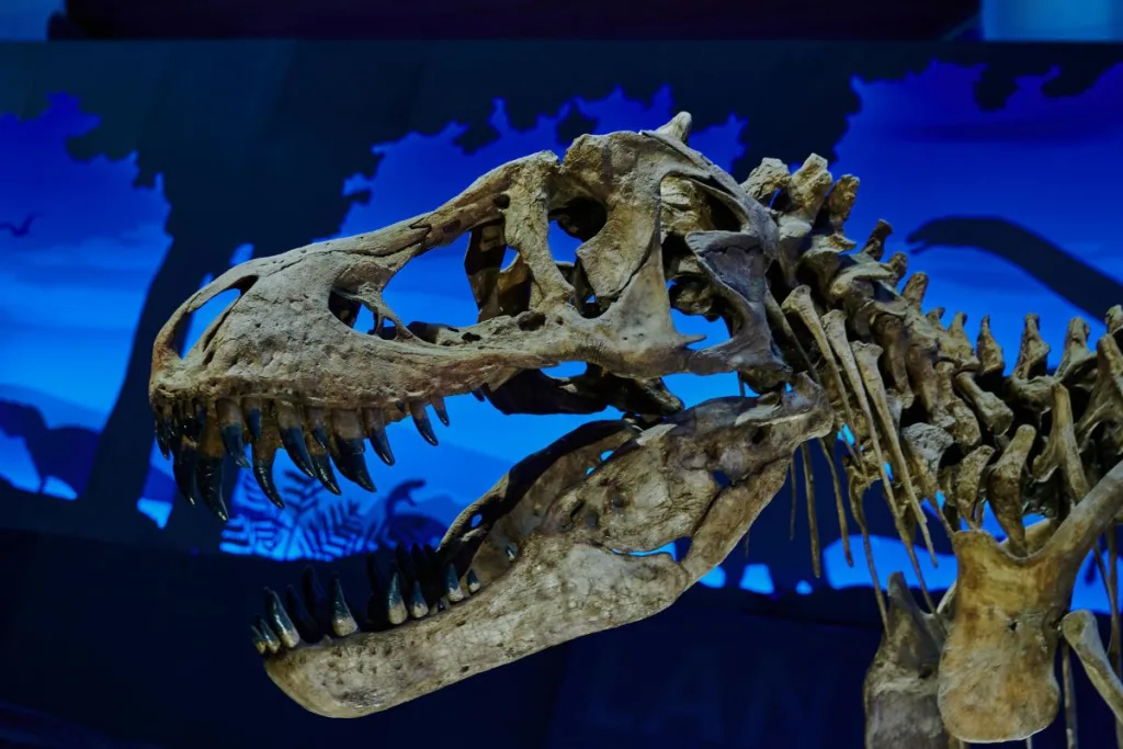 Descubre Era Sauria, la exposición con más de 40 dinosaurios en Toluca, a menos de una hora de CDMX. Te explicamos qué encontrarás, precios y cómo llegar en transporte público paso a paso. ¿Eres fan de los dinosaurios?