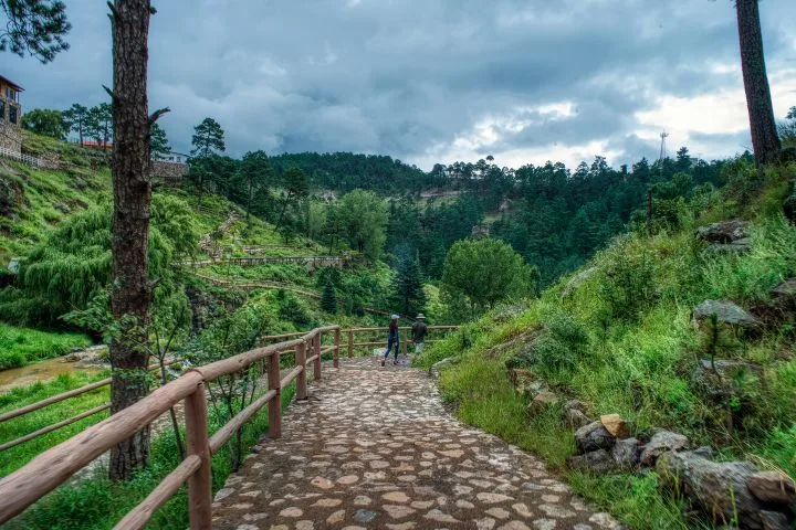 Este corredor turístico ofrece una experiencia distinta, donde la naturaleza, la cultura y la tecnología se entrelazan en uno de los Pueblos Mágicos más sorprendentes del norte de México. ¡Conócelo!