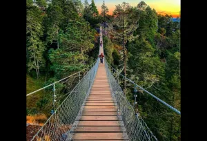 En Amatlán de Quetzalcóatl puedes hacer senderismo.