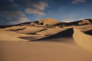 Descubre las Dunas de Samalayuca en Chihuahua, un impresionante paisaje desértico ideal para aventura, fotografía y conexión con la naturaleza. ¿Las conoces?