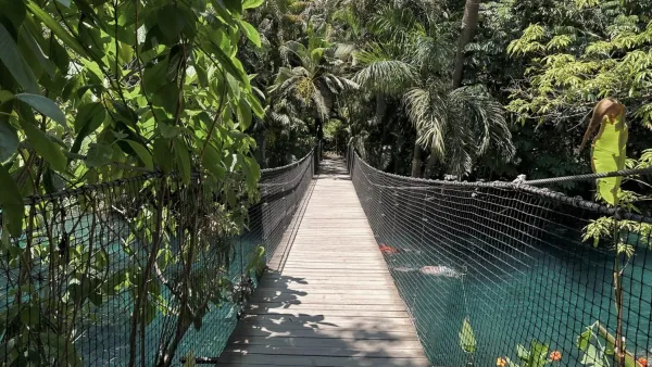 Descubre Las Estacas en Morelos, un paraíso natural con pozas cristalinas a solo 2 horas de la CDMX. Historia, cómo llegar, qué hacer y tips para disfrutar este oasis natural. ¿Cuándo vas a conocerlas?