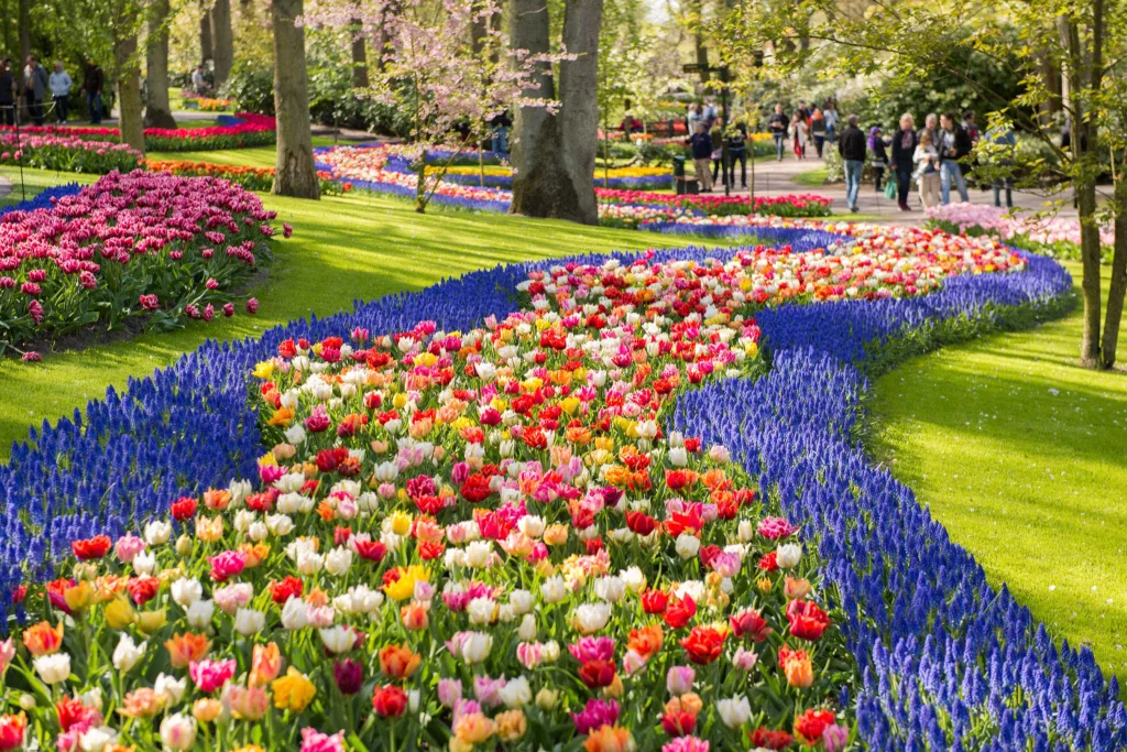 El Monumento a la Revolución se transformará en un mega jardín durante el Festival de Flores y Jardines 2026 en CDMX. Descubre fechas, actividades, el teporingo floral, conciertos gratis y todo lo que debes saber. ¿Tienes planes de ir?