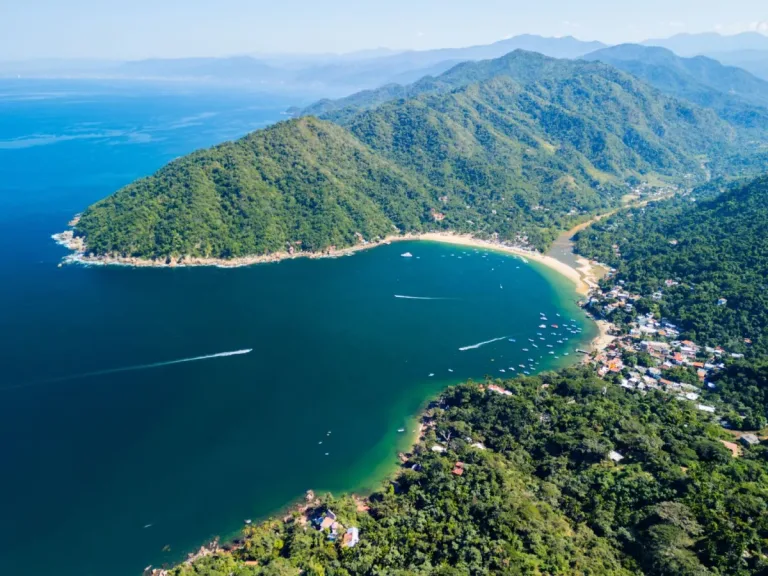 Descubre playas en Jalisco con mar tranquilo, palmeras y excelente gastronomía. Sin duda, lugares ideales para descansar y disfrutar del Pacífico mexicano. ¿Te vas a lanzar?