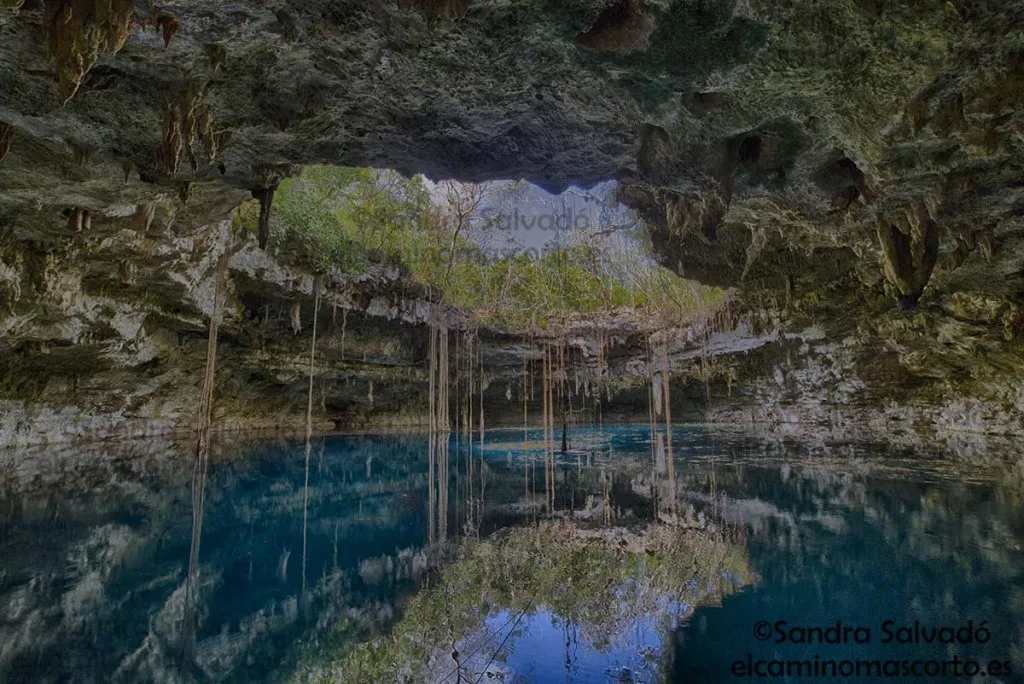 Cenotillo, en Yucatán, es un destino poco conocido lleno de cenotes, historia maya y tranquilidad. Descubre por qué es un tesoro escondido. ¿Ya lo conocías?