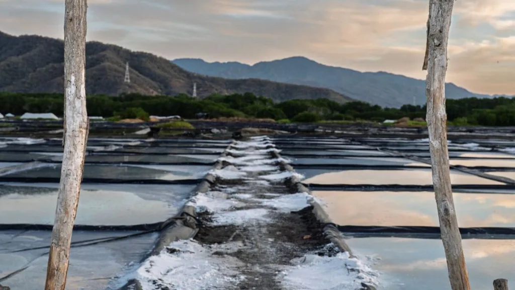 Descubre el destino en México donde se produce el “oro blanco”: la sal de Colima. Conoce su historia, proceso y por qué es clave en la gastronomía.