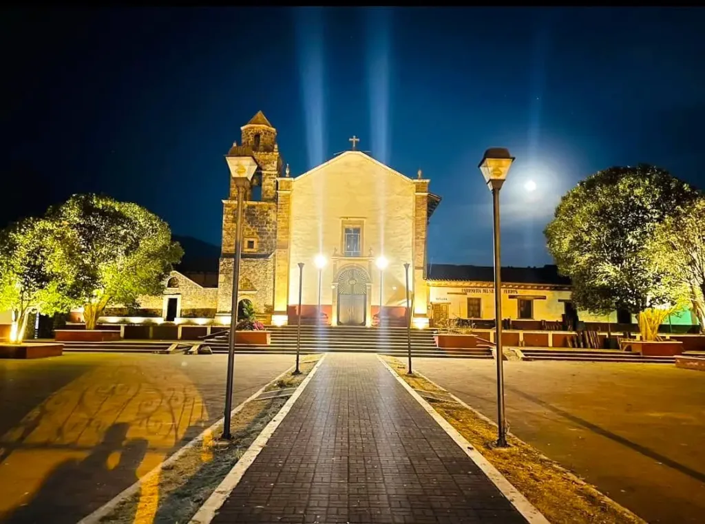 Descubre Petatán, el pueblo entre Jalisco y Michoacán donde miles de pelícanos llegan cada año y puedes probar el tradicional “caviar de lago”.