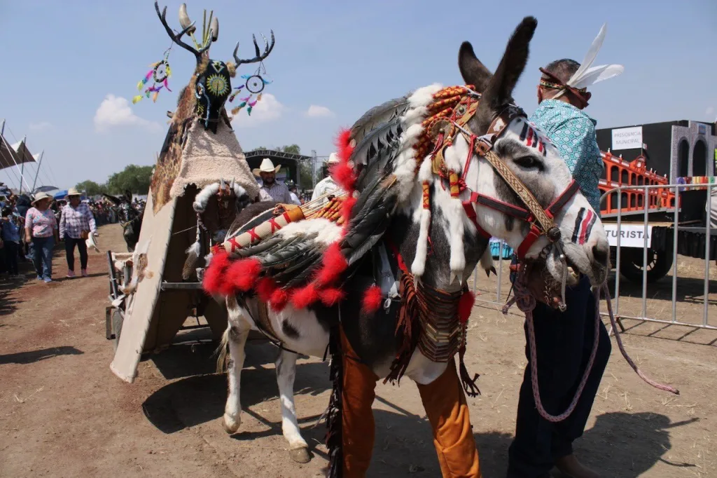 Descubre Otumba, el Pueblo Mágico del Estado de México famoso por su Feria del Burro, una tradición única llena de historia y cultura. ¿Te vas a lanzar?