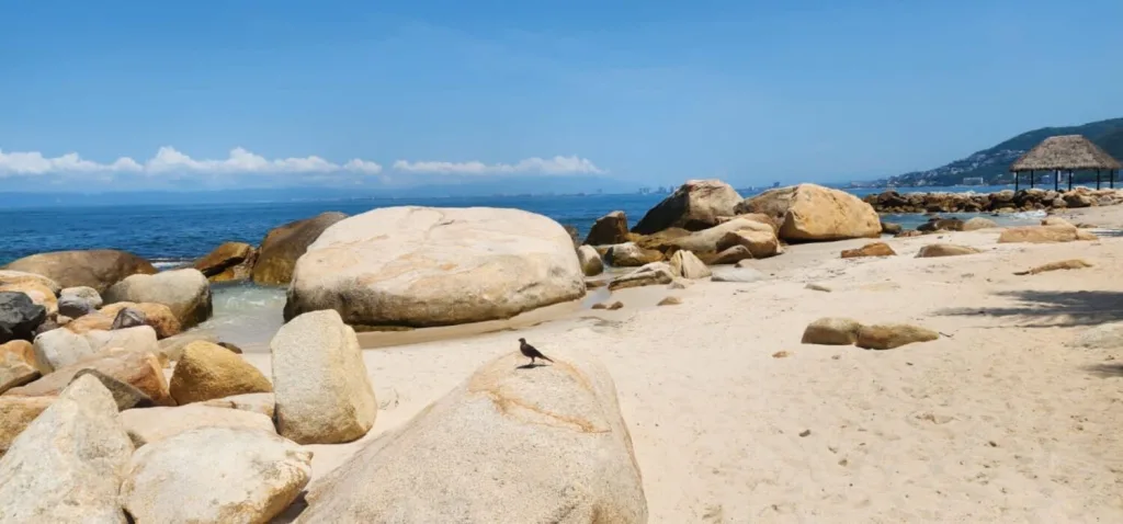 Descubre Playa Esmeralda en Puerto Vallarta: una playa tranquila, sin olas y con agua cristalina color esmeralda, ideal para relajarte lejos del turismo masivo. ¿Te gustaría conocerla?