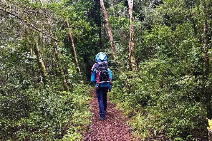 Descubre la Gruta de las Canicas en Teapa, Tabasco, un sitio único donde la naturaleza formó esferas de piedra dentro de una cueva.
