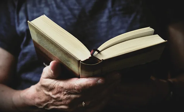 Escritores que también fueron docentes dejaron huella no solo en las aulas, sino en la literatura y la vida pública del país./Foto: Pixabay