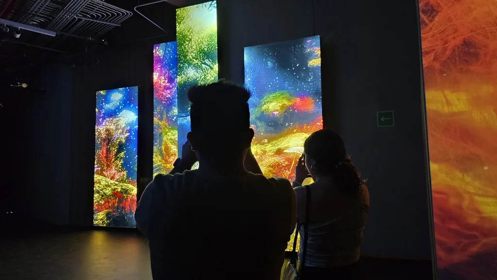 El Centro de Cultura Ambiental Ecoguardas