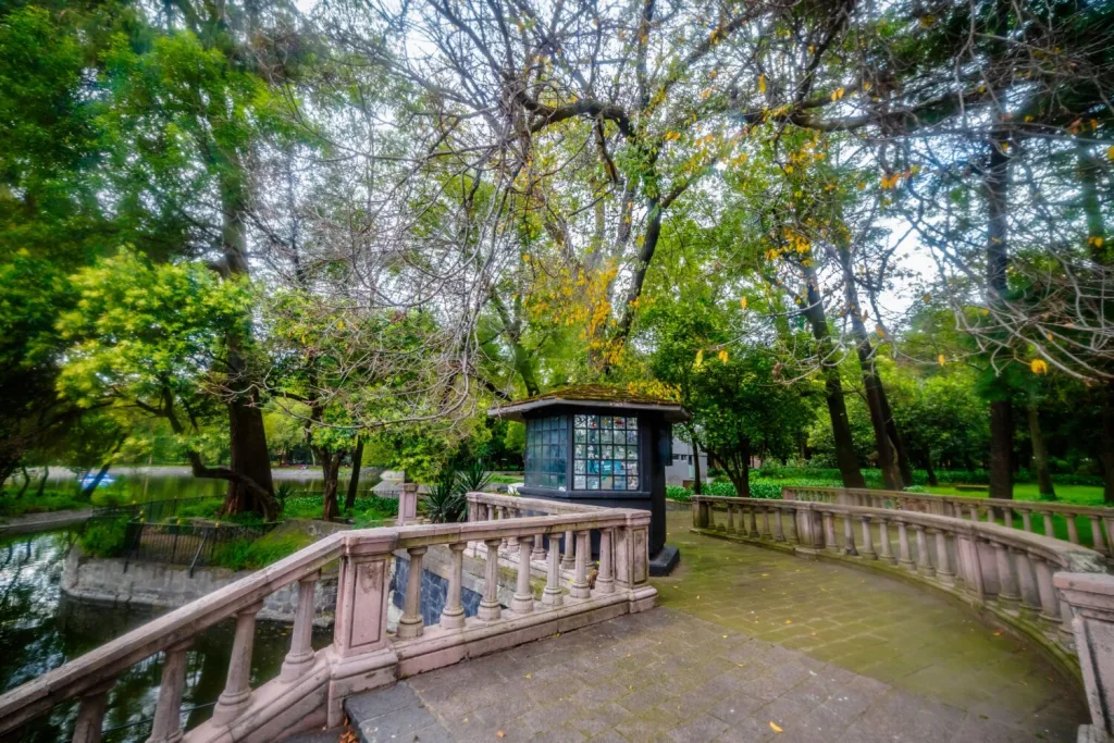 Descubre los parques públicos más grandes de la CDMX, ideales para caminar, hacer ejercicio, descansar y disfrutar la naturaleza sin salir de la ciudad. ¿Conoces todos?