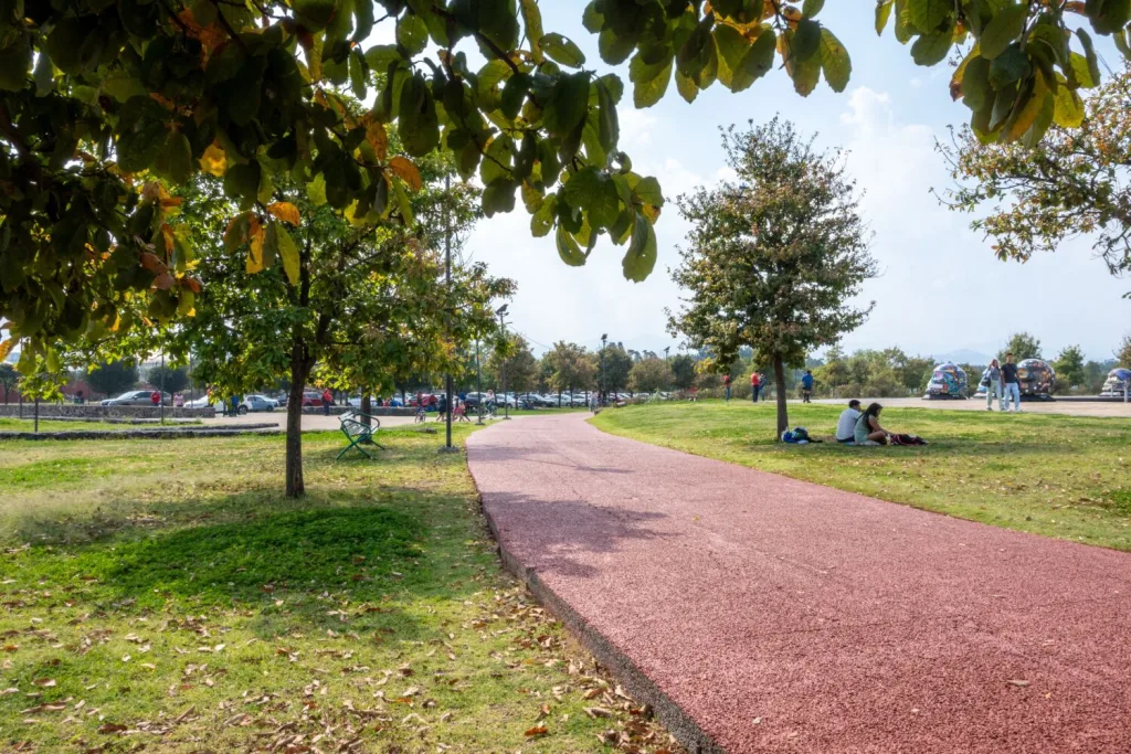 Descubre los parques públicos más grandes de la CDMX, ideales para caminar, hacer ejercicio, descansar y disfrutar la naturaleza sin salir de la ciudad. ¿Conoces todos?