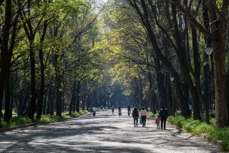 Descubre los parques públicos más grandes de la CDMX, ideales para caminar, hacer ejercicio, descansar y disfrutar la naturaleza sin salir de la ciudad. ¿Conoces todos?