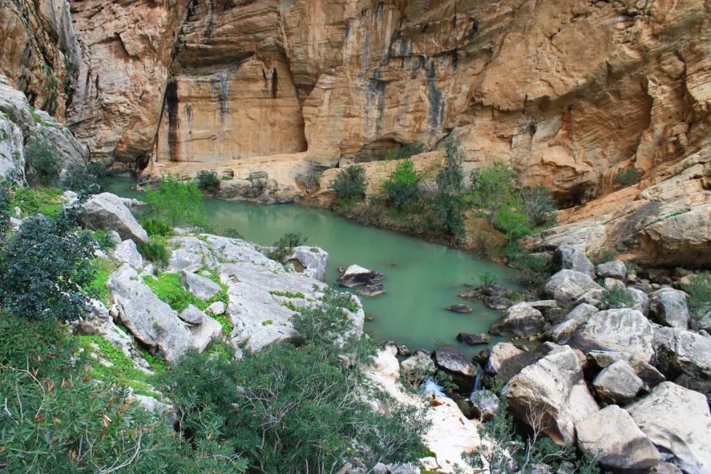 Conoce tres lugares en Querétaro con aguas azufradas ideales para refrescarse, relajarse y disfrutar en familia entre manantiales, naturaleza y parques acuáticos.