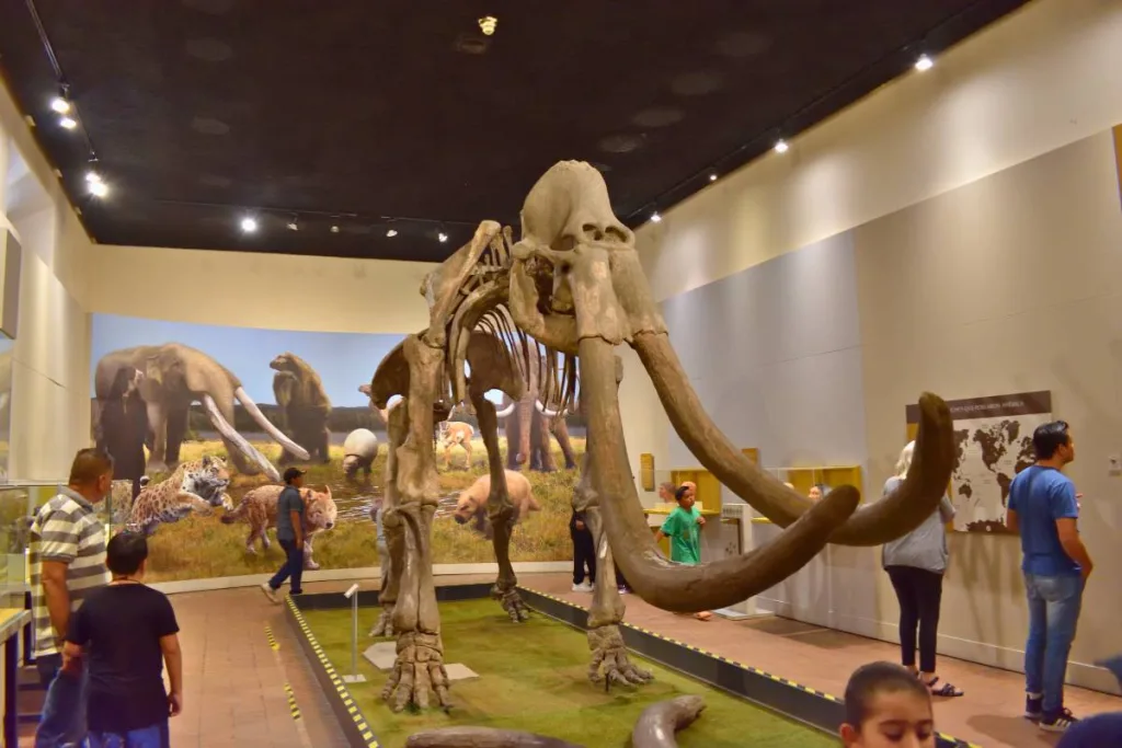 Descubre 9 museos en CDMX, Guadalajara y Monterrey ideales para visitar antes del Día Internacional de los Museos este 18 de mayo. ¿Ya sabías de su existencia?