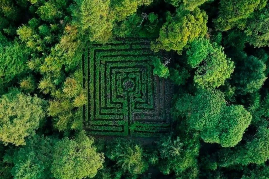 Descubre el Parque Ejidal San Nicolás Totolapan, un bosque natural en CDMX ideal para senderismo, ciclismo, cabañas y actividades al aire libre. ¿Te vas a lanzar?