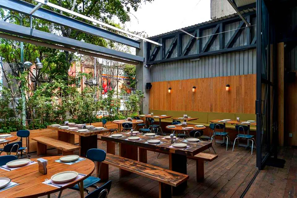 Descubre 4 terrazas en CDMX donde puedes sentirte en la playa gracias a sus mariscos, cocteles, ambiente tropical y rooftops perfectos para el calor. ¿Ya las conocías?
