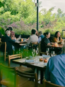 Descubre 4 terrazas en CDMX donde puedes sentirte en la playa gracias a sus mariscos, cocteles, ambiente tropical y rooftops perfectos para el calor. ¿Ya las conocías?