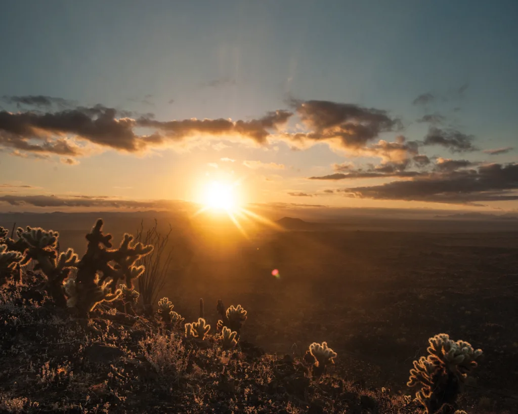 Descubre El Pinacate y el Gran Desierto de Altar, uno de los ecosistemas más sorprendentes de México con volcanes, dunas gigantes y una biodiversidad única en América del Norte. ¿Ya lo conocías?