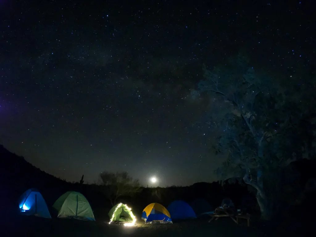 Descubre El Pinacate y el Gran Desierto de Altar, uno de los ecosistemas más sorprendentes de México con volcanes, dunas gigantes y una biodiversidad única en América del Norte. ¿Ya lo conocías?