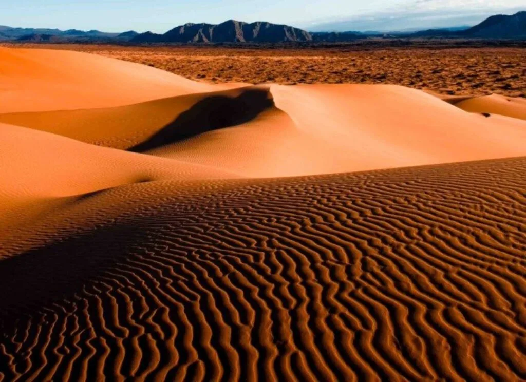 Descubre El Pinacate y el Gran Desierto de Altar, uno de los ecosistemas más sorprendentes de México con volcanes, dunas gigantes y una biodiversidad única en América del Norte. ¿Ya lo conocías?