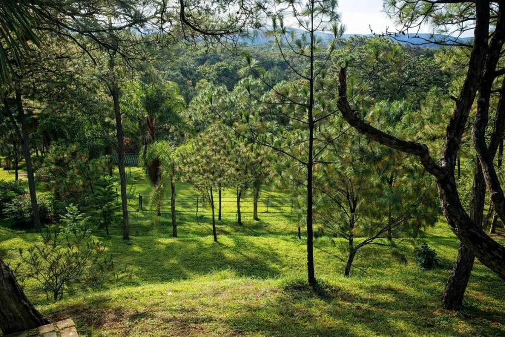Descubre el Rancho Ecoturístico Agua Dulce, un lugar cerca de Guadalajara con río, asadores y entrada económica ideal para una escapada natural. ¿Te gustaría conocerlo?