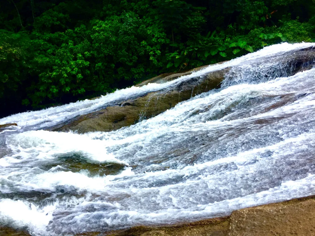 Descubre las cascadas escondidas de Cuetzalan, Puebla, un destino rodeado de naturaleza, pozas y paisajes ideales para escapar del calor este fin de semana.