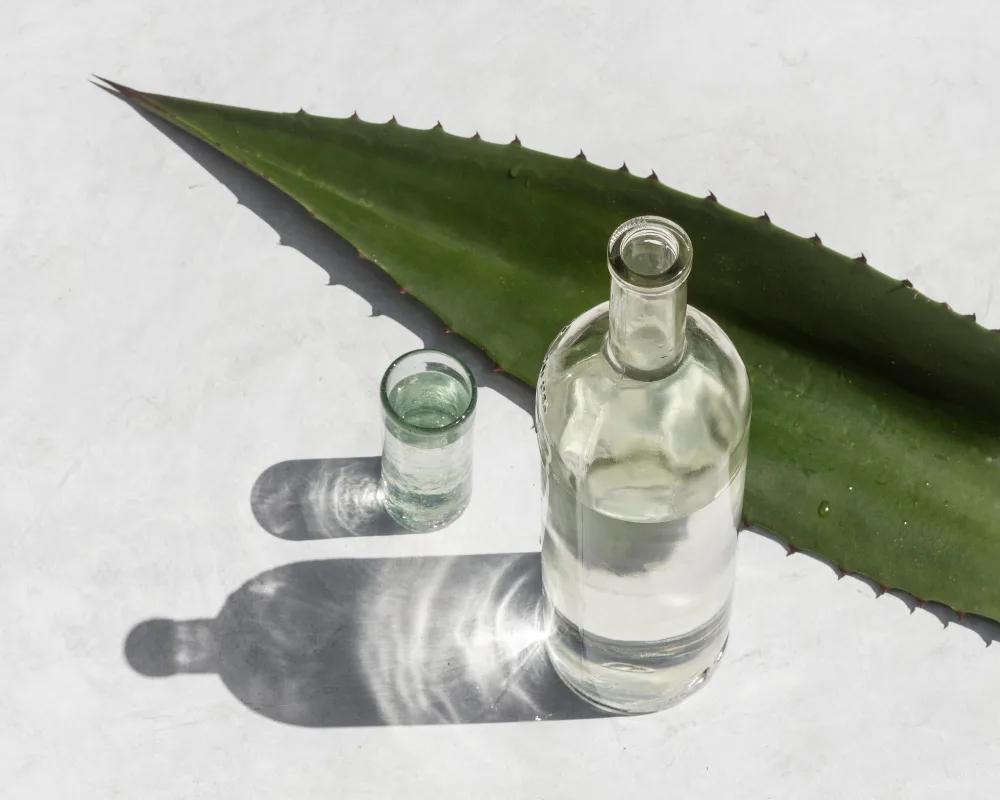 La Roma Norte se ha convertido en el epicentro del mezcal en la CDMX, donde puedes ir de bar en bar descubriendo nuevos sabores y estilos en cuestión de minutos./Foto: Pixabay