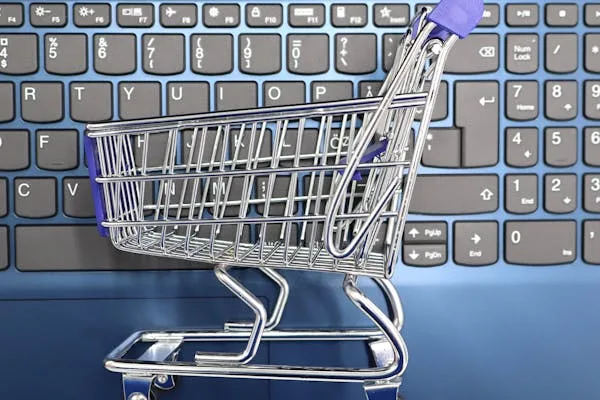 Durante el Hot Sale, las ofertas abundan… pero también los fraudes. El phishing se dispara con páginas clonadas, mensajes falsos y enlaces que parecen reales, pero no lo son. /Foto: Pixabay