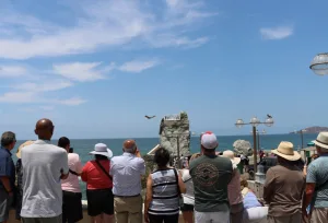 Mazatlán se consolida como gigante del Pacífico: Recibirá a más de 7 mil cruceristas esta semana