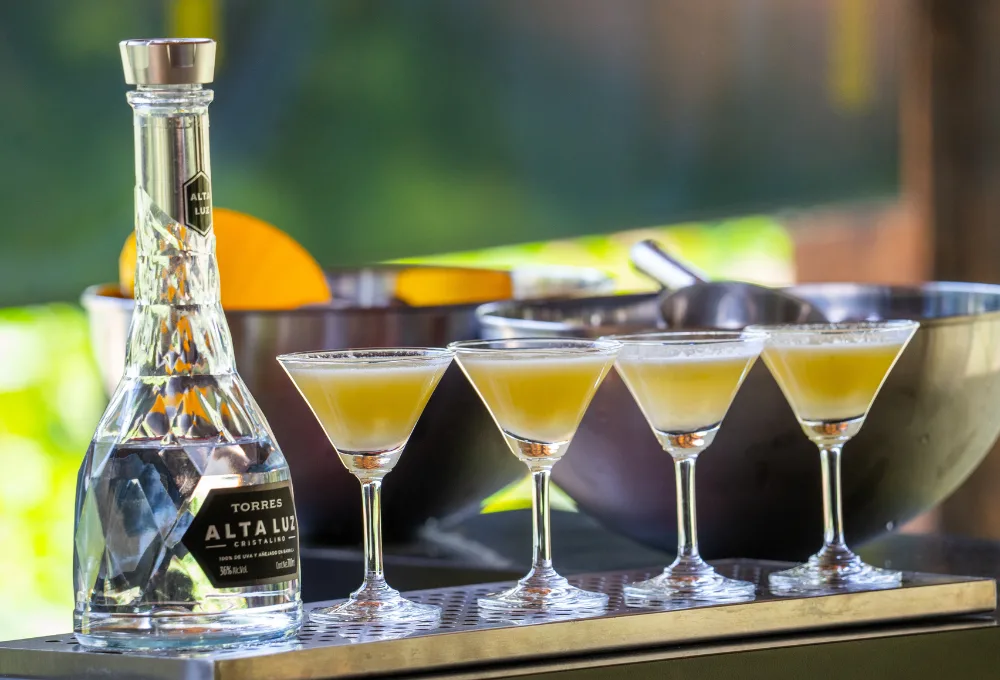 Bebidas. Torres Society elige Xochimilco para el lanzamiento de su exclusiva comunidad de élite en la industria de spirits
