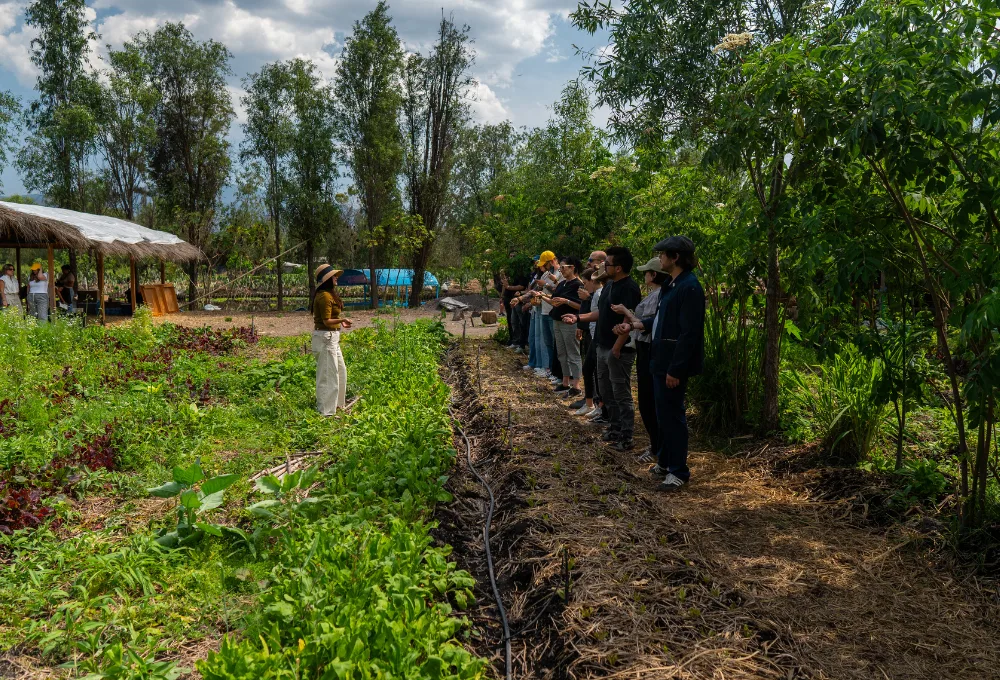 Torres Society elige Xochimilco para el lanzamiento de su exclusiva comunidad de élite en la industria de spirits