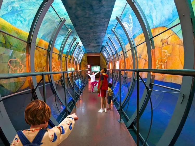 Descubre 9 museos en CDMX, Guadalajara y Monterrey ideales para visitar antes del Día Internacional de los Museos este 18 de mayo. ¿Ya sabías de su existencia?