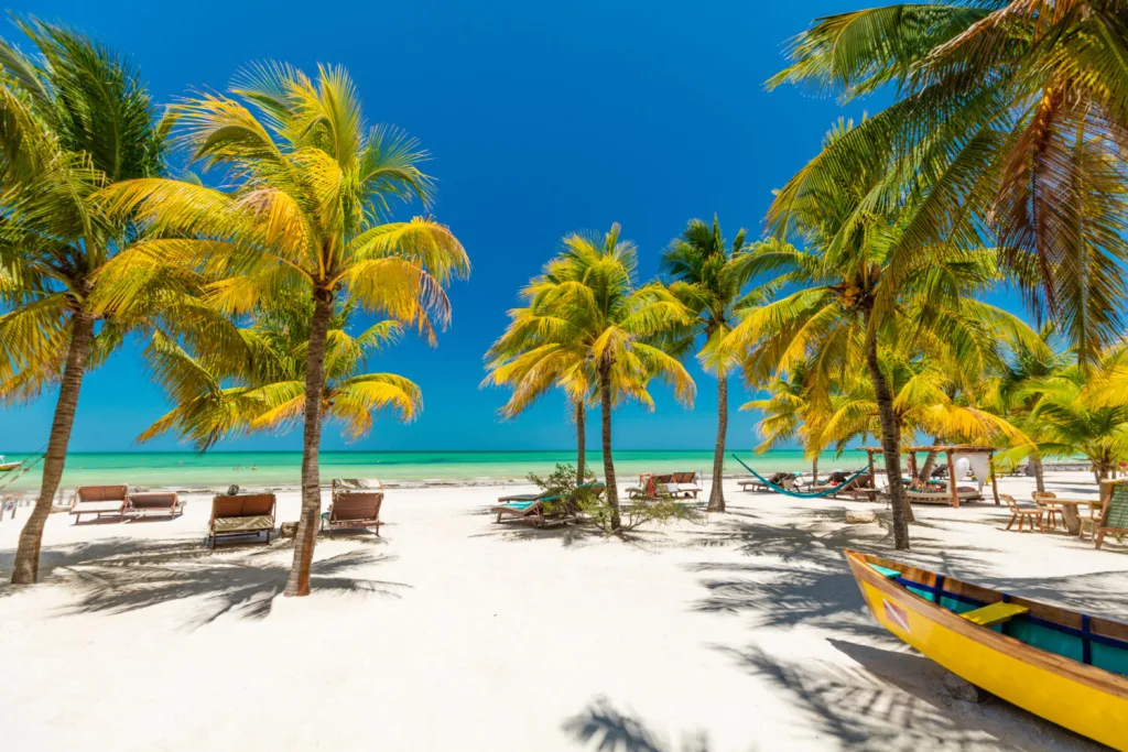 Descubre las mejores playas de México para hacer un detox digital, relajarte lejos del estrés y reconectar con la naturaleza sin tantas pantallas. ¿Cuándo irás?