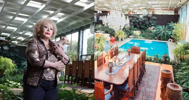 Descubre cuáles eran los restaurantes favoritos de Silvia Pinal en CDMX, los lugares donde disfrutaba la gastronomía mexicana y convivía con artistas y amigos. Por cierto, ¿tú los conoces?