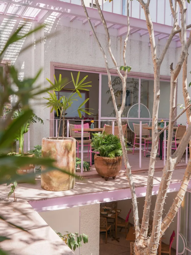 Descubre 4 terrazas en CDMX donde puedes sentirte en la playa gracias a sus mariscos, cocteles, ambiente tropical y rooftops perfectos para el calor. ¿Ya las conocías?