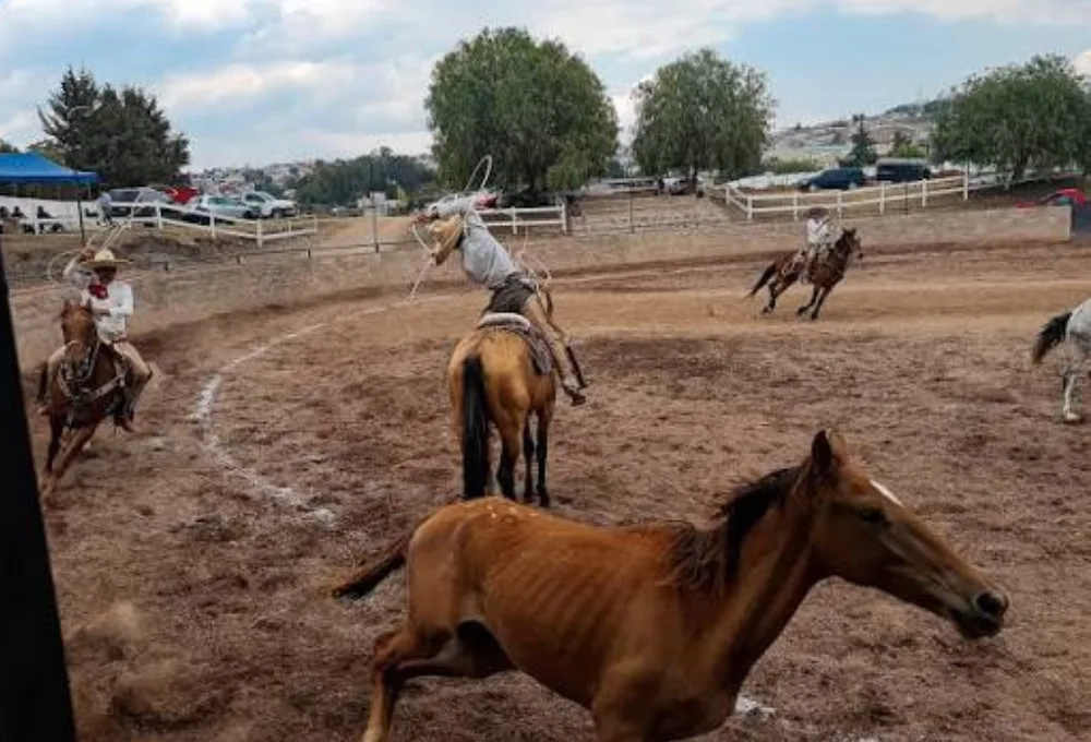 El origen colonial de la charrería y el nacimiento del charro mexicano. Escaramuzas.