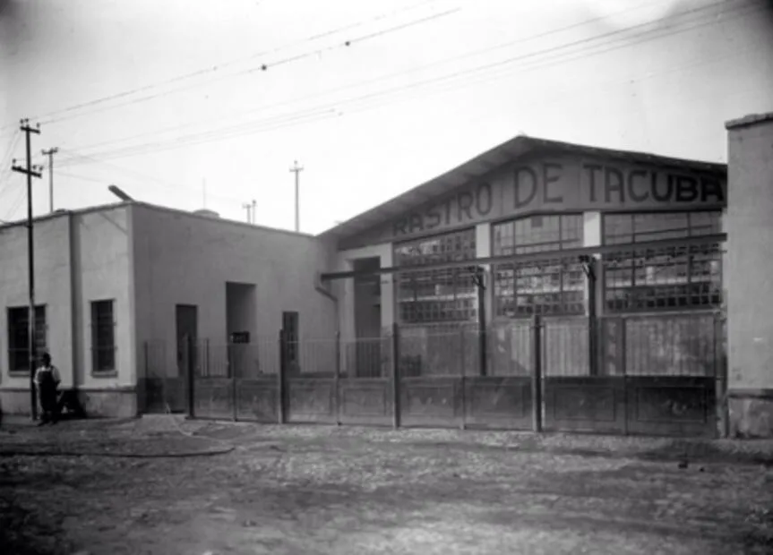 Descubre qué es “El Torito” de la Ciudad de México, por qué recibe ese nombre, cómo funciona el programa de alcoholímetro y la curiosa razón por la que muchas personas recuerdan su estancia por la comida que se sirve en este lugar.