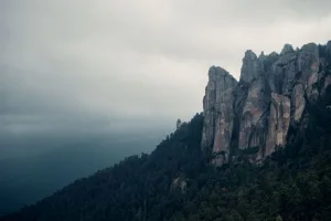 Entre neblina, bosques intensamente verdes y calles empedradas que parecen sacadas de un cuento, este Pueblo Mágico se convierte en el refugio perfecto para disfrutar recorridos históricos y experiencias bajo techo en un ambiente único y envolvente. /Foto:Pexels