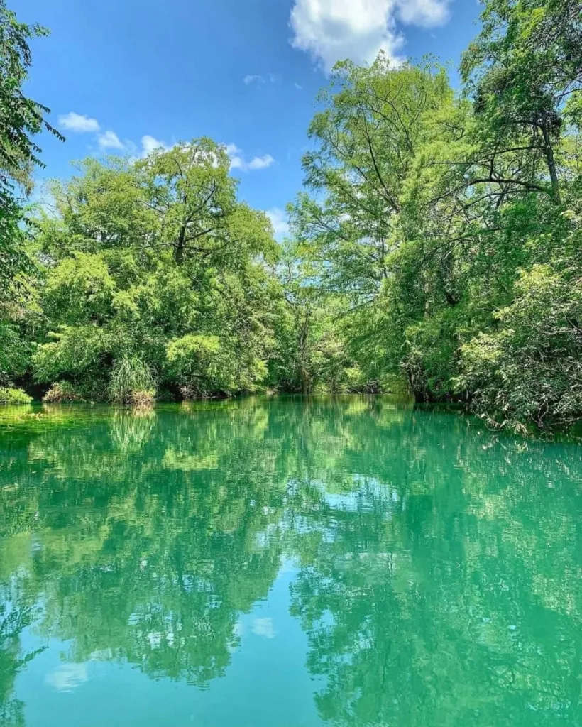 Foto: Biosfera El Cielo, Tamaulipas