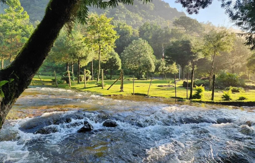 Entre senderos, especies únicas y paisajes que parecen suspendidos, este refugio natural es la escapada perfecta para quienes buscan aventura y conexión total con la naturaleza./Foto: Biosfera El Cielo, Tamaulipas