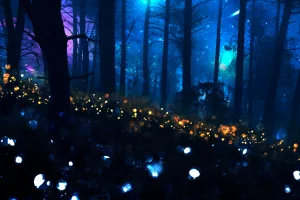 Con la llegada de junio, los bosques del centro de México se iluminan con uno de los espectáculos naturales más impresionantes: las luciérnagas./Foto: Magnific