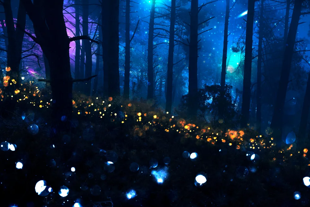 Con la llegada de junio, los bosques del centro de México se iluminan con uno de los espectáculos naturales más impresionantes: las luciérnagas./Foto: Magnific