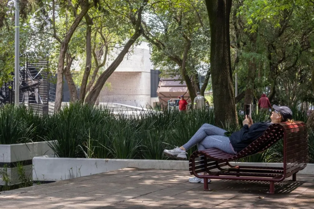 Descubre el nuevo Espejo de Agua en el Bosque de Chapultepec con humedales, vegetación nativa, senderos y espacios para descansar bajo la sombra. Este renovado oasis urbano se perfila como uno de los lugares más bonitos de la CDMX. ¿Te vas a lanzar?