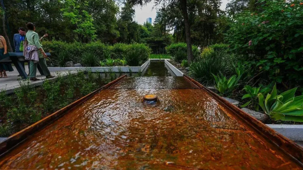 Descubre el nuevo Espejo de Agua en el Bosque de Chapultepec con humedales, vegetación nativa, senderos y espacios para descansar bajo la sombra. Este renovado oasis urbano se perfila como uno de los lugares más bonitos de la CDMX. ¿Te vas a lanzar?