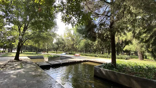 Descubre el nuevo Espejo de Agua en el Bosque de Chapultepec con humedales, vegetación nativa, senderos y espacios para descansar bajo la sombra. Este renovado oasis urbano se perfila como uno de los lugares más bonitos de la CDMX. ¿Te vas a lanzar?