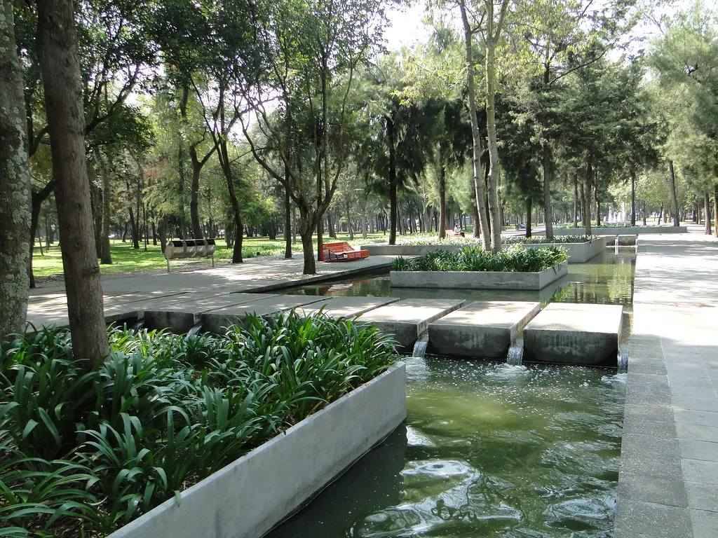 Descubre el nuevo Espejo de Agua en el Bosque de Chapultepec con humedales, vegetación nativa, senderos y espacios para descansar bajo la sombra. Este renovado oasis urbano se perfila como uno de los lugares más bonitos de la CDMX. ¿Te vas a lanzar?