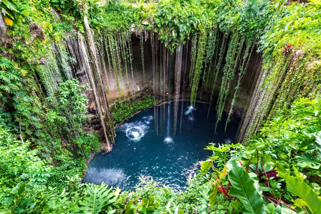 ¿Buscas qué hacer en la Riviera Maya este verano? Descubre Cenote Azul, Gran Cenote y Dos Ojos, tres impresionantes maravillas subterráneas de Quintana Roo con aguas cristalinas, cuevas y paisajes únicos. ¿Te lanzas a la aventura?